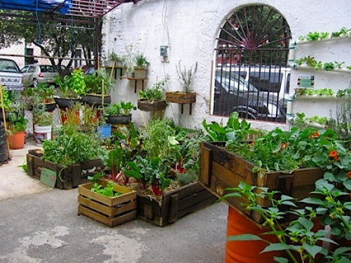 jardin organico sencillo