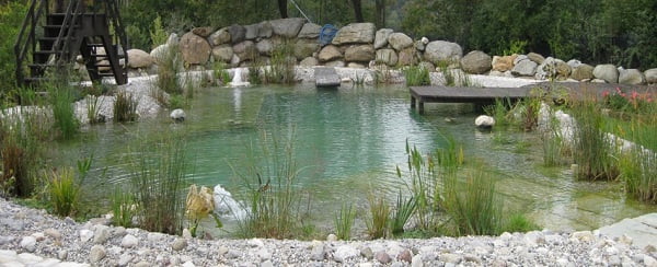 piscina-ecologica1