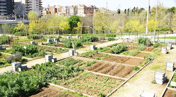 huerto-urbano en barcelona