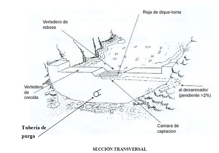 partes-bocatoma