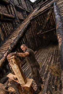 Madera de Pino. Usos y aplicaciones – Arkiplus