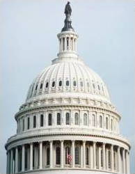 El Capitolio de Washington DC tiene una de hierro fundido