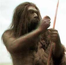 El neandertal era un cazador de la llamada megafauna, los grandes mamíferos que vivieron durante el Pleistoceno, como el mamut. Utilizaban lanzas de madera con puntas de piedra afilada, una evolución mayor a los antecesores. 