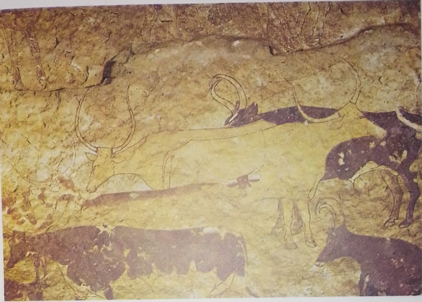 arte neolitico - pintura rupestre 2500 a.C.