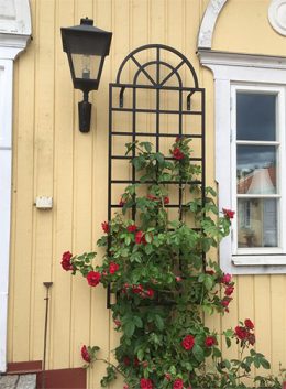 Elementos de un jardín | Arkiplus