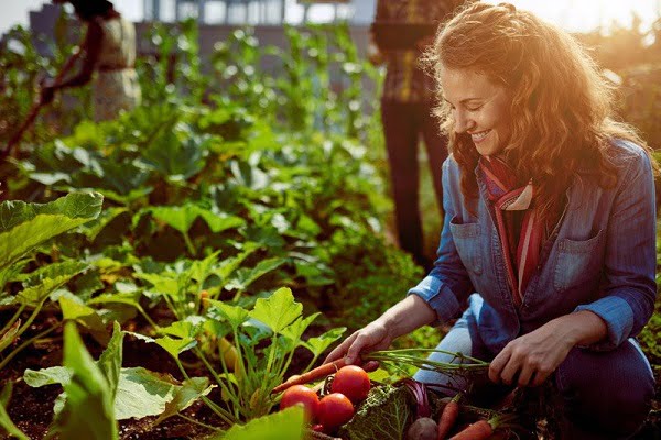 Horticultura: qué es, tipos y diferencias