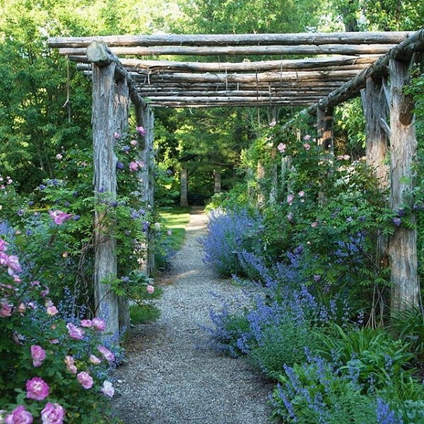 Pérgolas de madera rústica con plantas silvestres