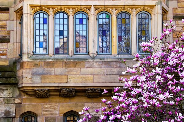 Ventanas victorianas o guillotina que son, como funcionan, ejemplos y fotos