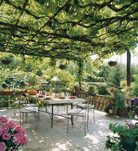 pergola de madera con enredadera