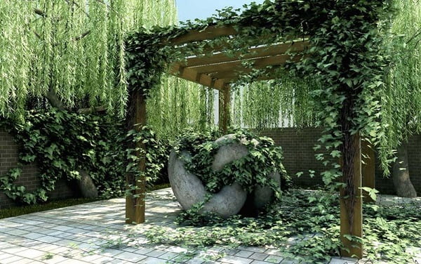 pergola de madera con hiedra