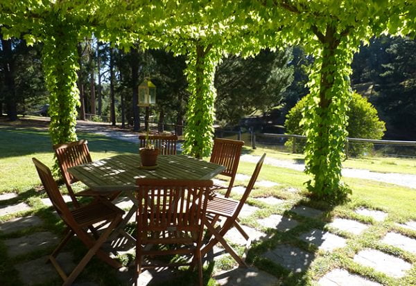 pergola de madera con enredadera