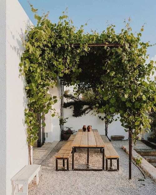 pergola de madera con trepadora