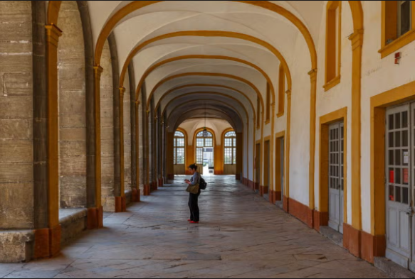 abadia de cluny - bovedad de canon